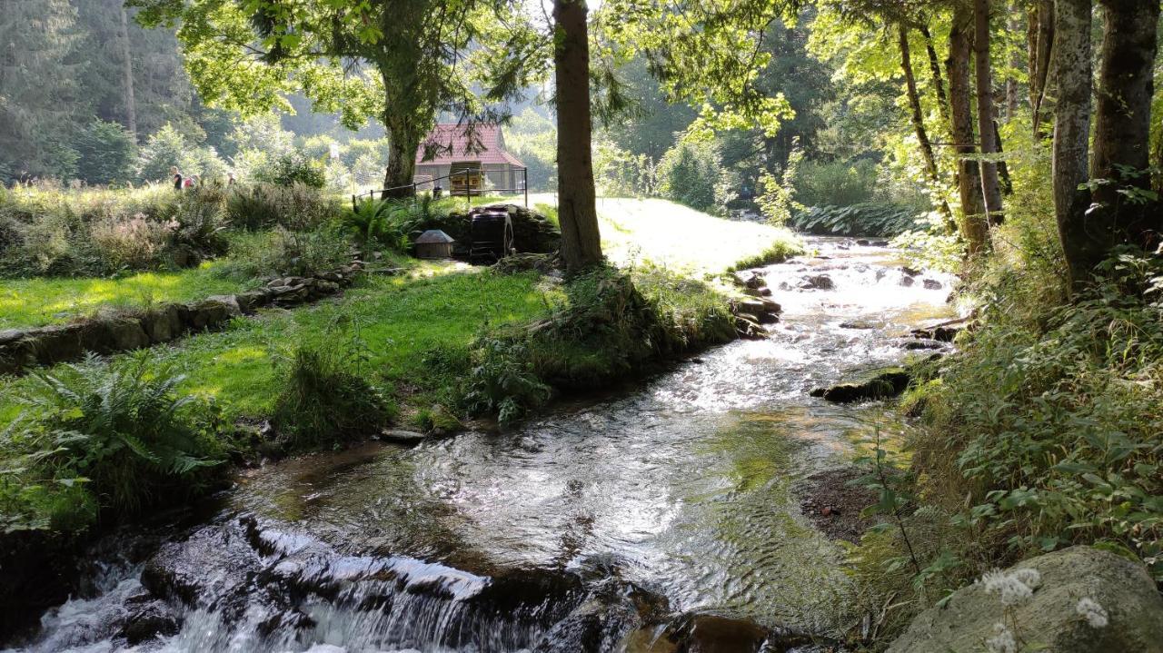 Apartamenty Kletno Stronie Śląskie Esterno foto